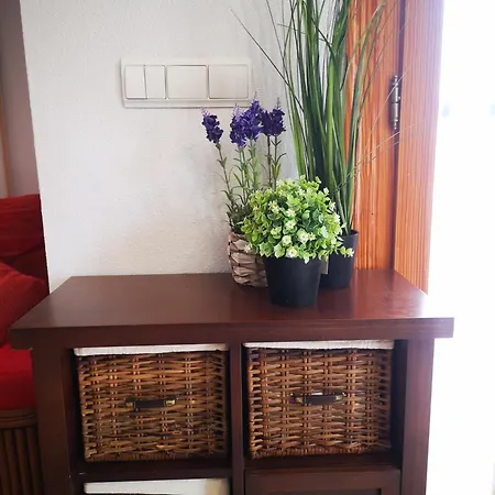 Дом отдыха Campoamor Con Piscina Privada